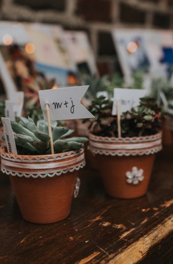 Don't know what wedding favors to give out on your big day? Here are 9 unique wedding favors that your guests are guaranteed to fall completely in love with. Try giving them little succulents to take home. 