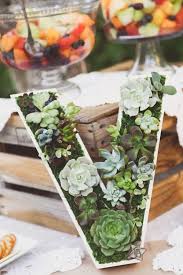 Decorate with Succulents | How to Decorate with Succulents | Wedding Day with Succulents | Succulents | DIY Succulent Decorations | DIY Wedding Succulent Decor | Succulent Wedding | Succulent Decorations