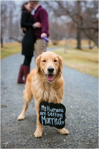 Tips For Engagement Photos: Wedding Planning - Tips And Tricks ...