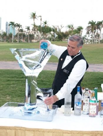 Have a Chill Wedding: Serving the Perfect Ice| Wedding Ice, Wedding Reception, Wedding Reception Tips and Tricks, Ice For Your Wedding, Ice That Is Perfect for Your Wedding