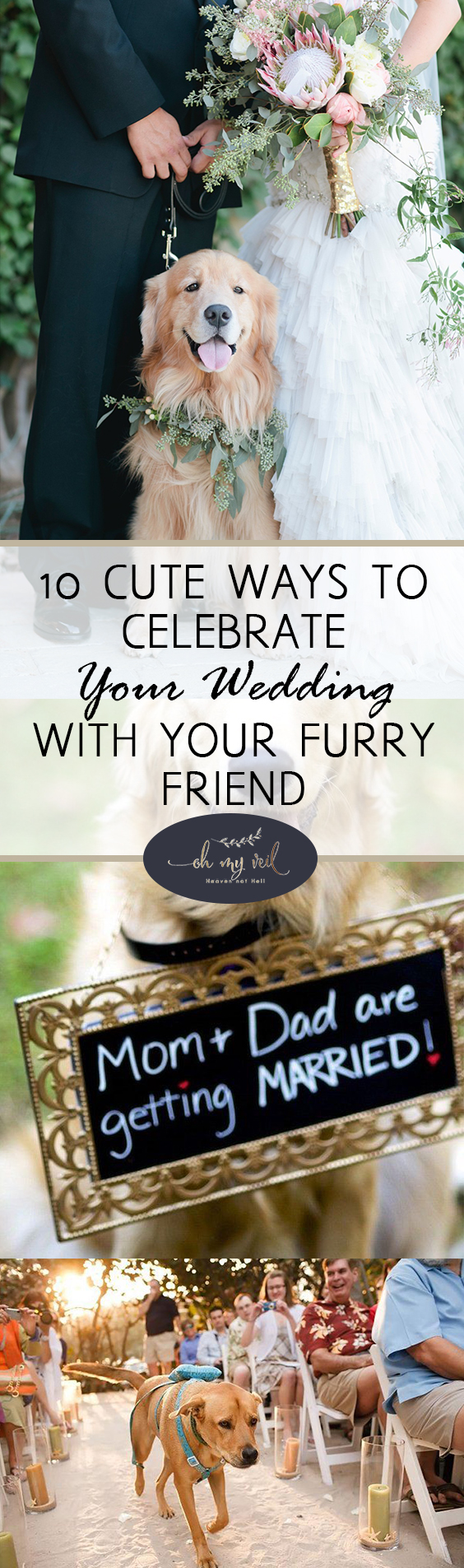  How to Celebrate Weddings With Dogs, Pet in Your Wedding, How to Include Your Dog In Your Wedding, Wedding TIps and Tricks, Wedding Planning 101, Dream Wedding, Dream Wedding Tips and Tricks