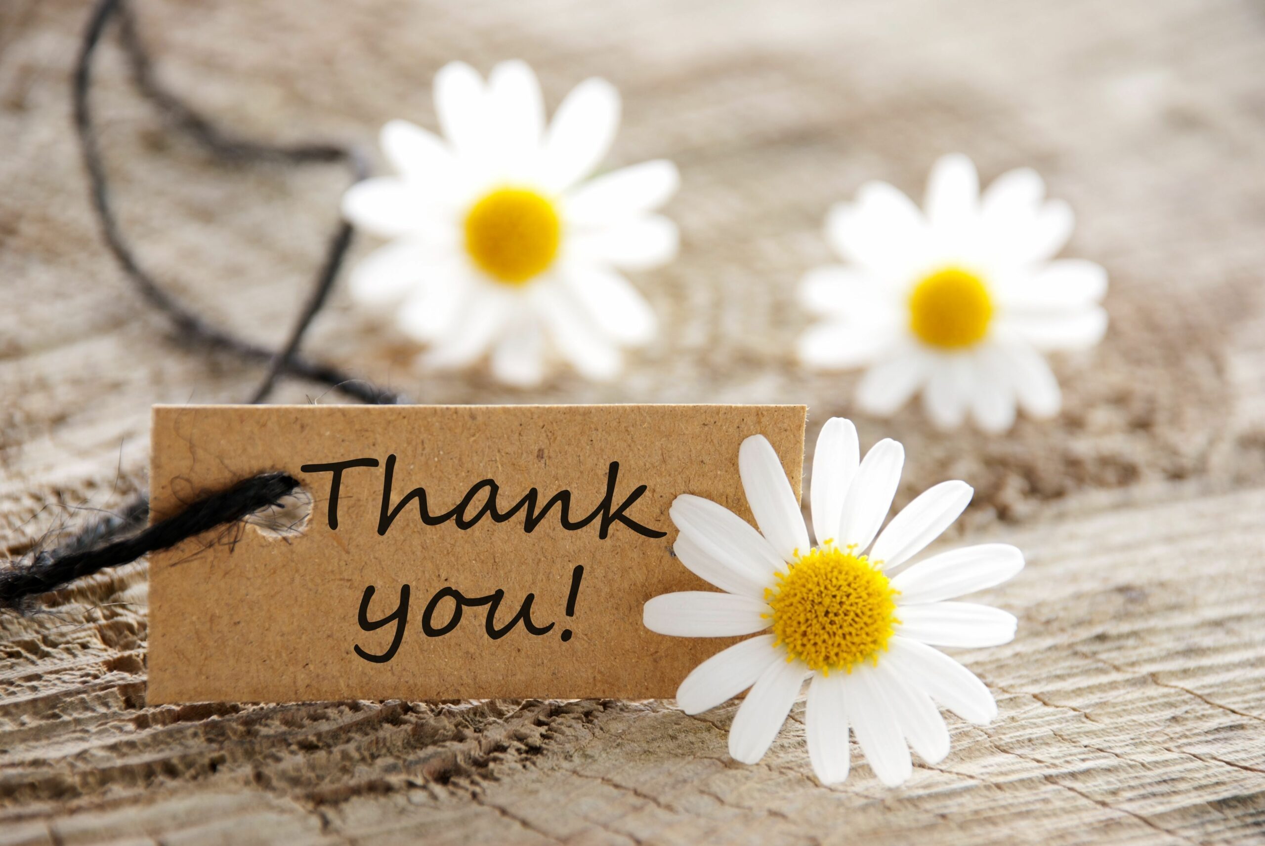 thank you tag with daisies-wedding thank you card wording