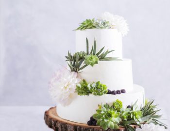 Succulents | Succulent Wedding | Wedding Decor: Succulents | Succulent Wedding Decorations | Wedding | Wedding Planning