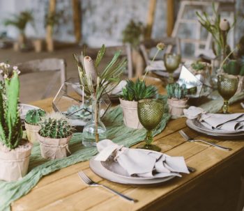 Succulents | Succulent Wedding | Wedding Decor: Succulents | Succulent Wedding Decorations | Wedding | Wedding Planning